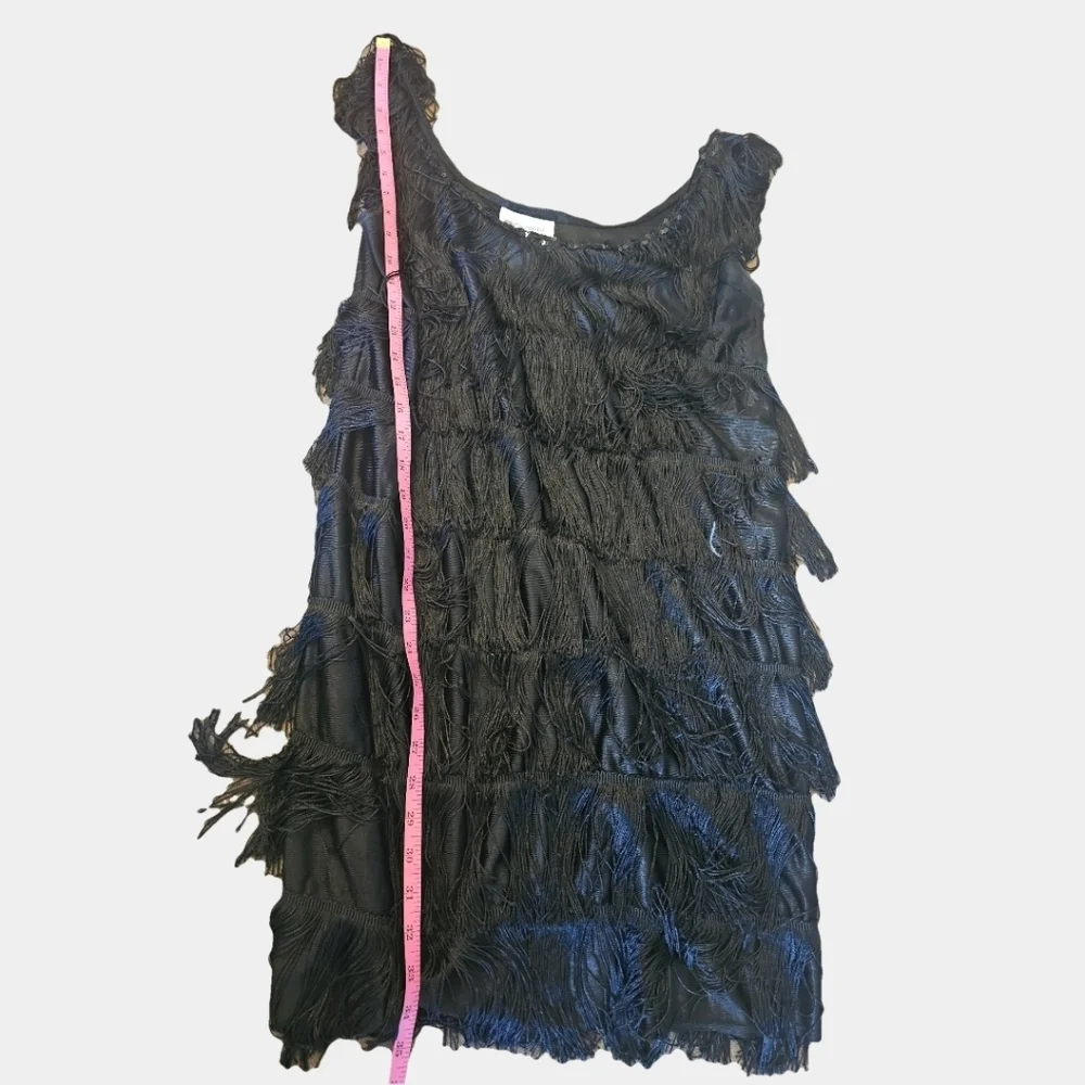 California Costumes Black Fringe Layered 1920's Flapper Dress Size L (Adult) - Picture 16 of 16
